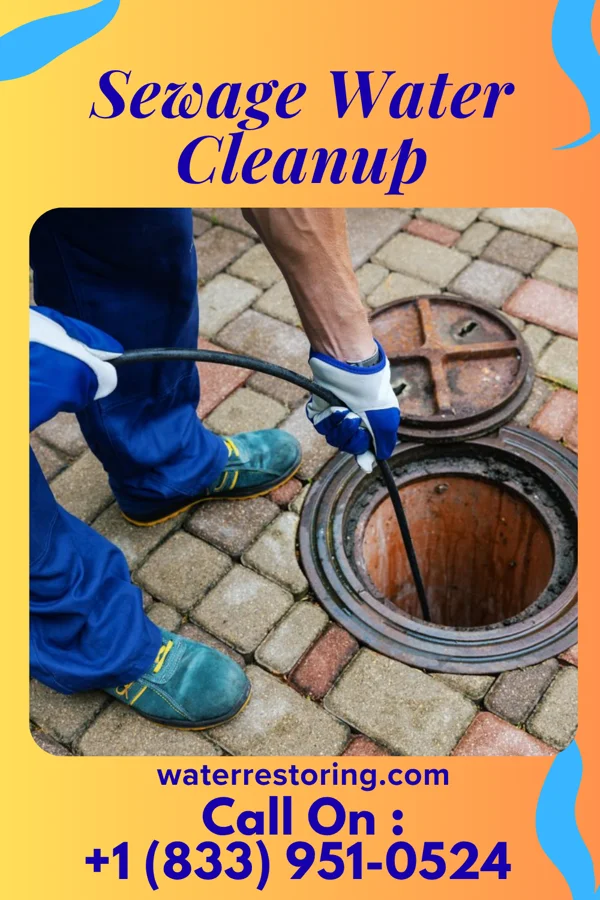 Sewage Water Cleanup in Haskell, AR